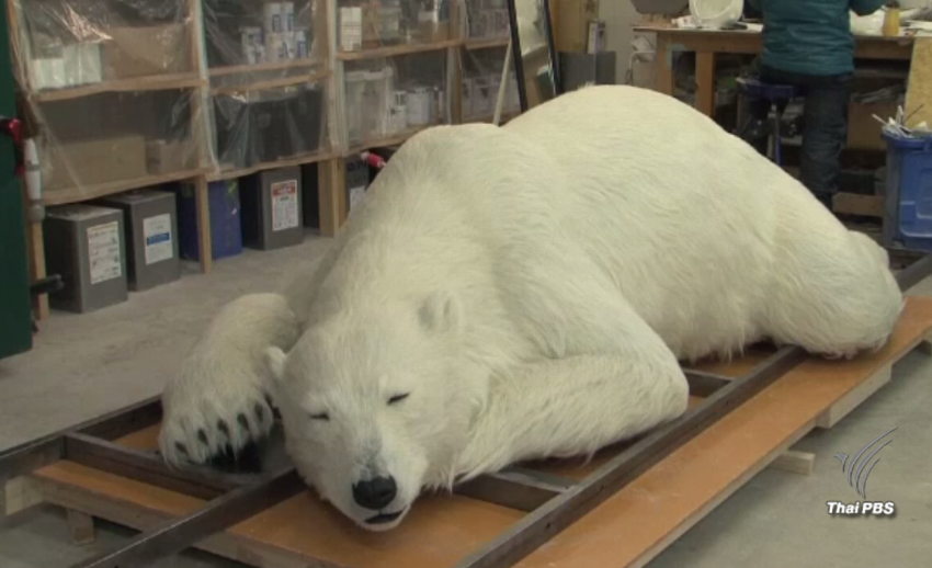 ผู้เชี่ยวชาญด้านวิชวล เอฟเฟค ของญี่ปุ่น สร้างหุ่นจำลองหมีขั้วโลก