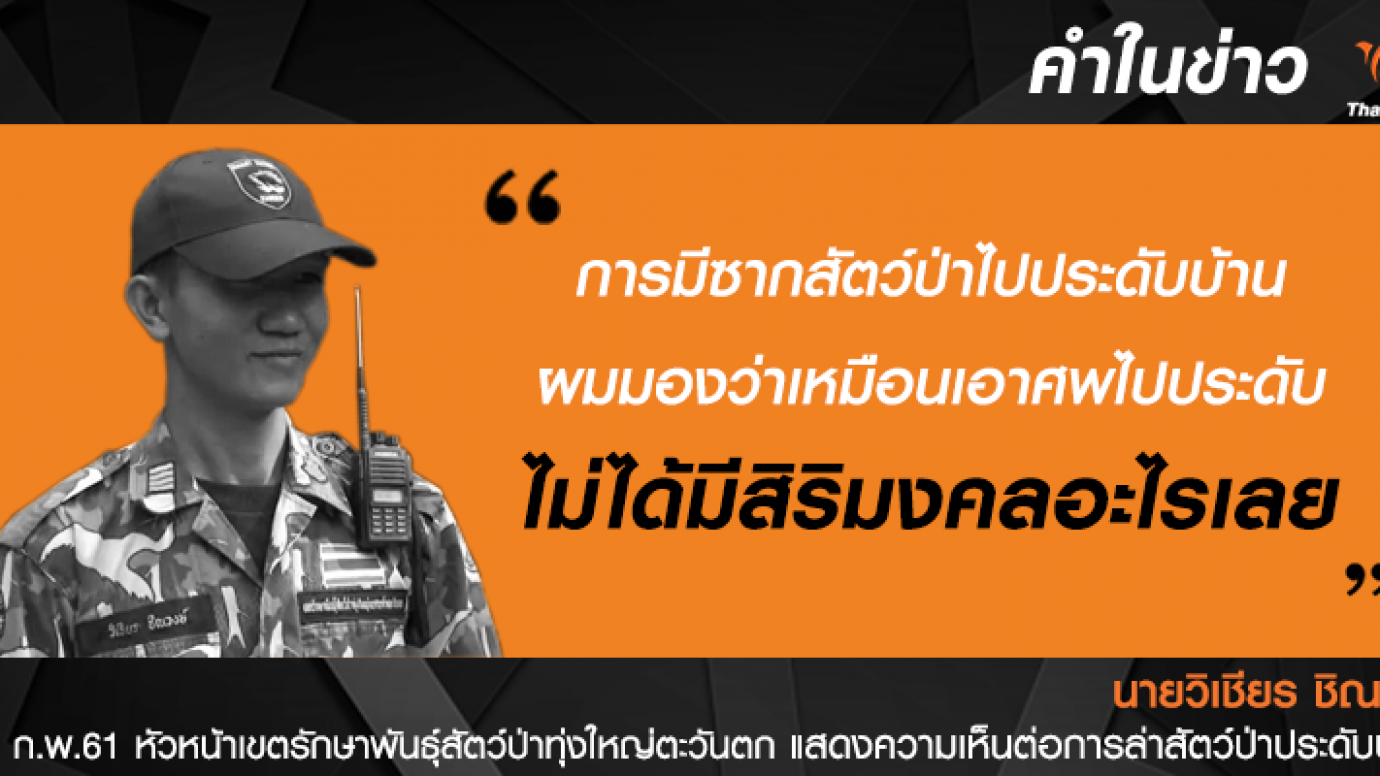 เอาซากสัตว์ไปประดับบ้าน ไม่มีสิริมงคล!