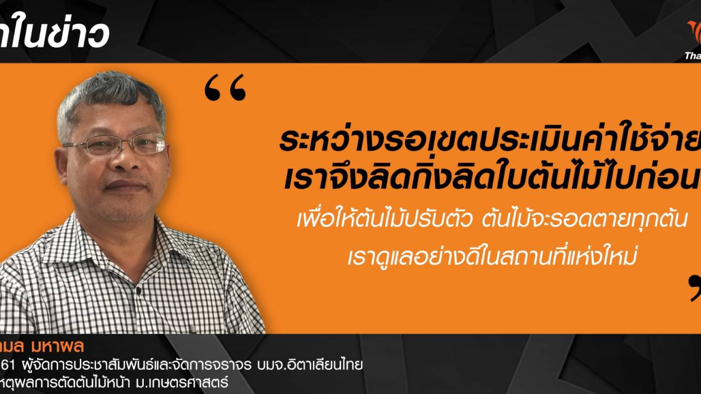 อิตาเลียนไทย ระบุ ตัดต้นไม้ เหตุเร่งสร้างสะพานข้าม