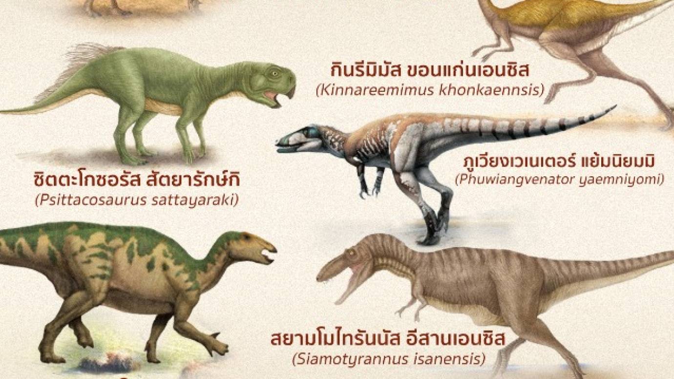 รู้จัก 11 ไดโนเสาร์ ค้นพบในไทย