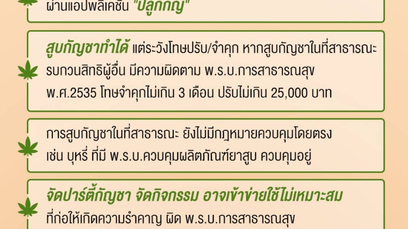 ปลดล็อก "กัญชา" อะไรทำได้ - ไม่ได้