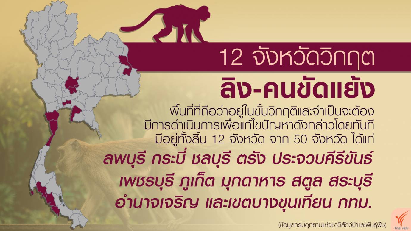 12 จังหวัดวิกฤต ลิง-คนขัดแย้ง