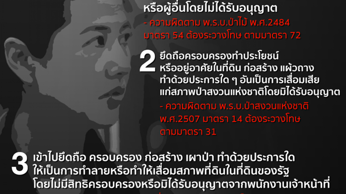 เช็ก! 4 ข้อหา กรมป่าไม้เตรียมแจ้งความเอาผิดปารีณา รุกที่ป่า