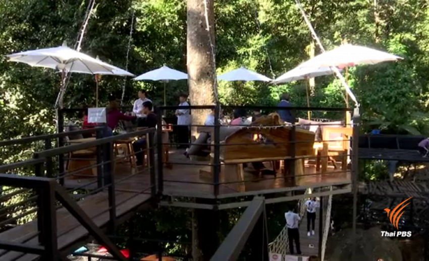 "ม่อนแจ่มซิปไลน์" ร้านกาแฟสุดชิล โดนฟ้องเพิ่มคดีแพ่งทำลาย สวล.