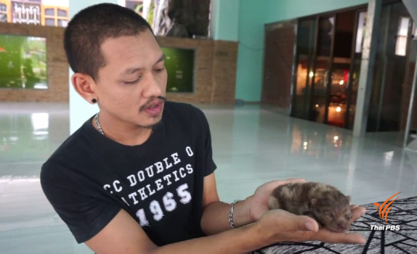 เจ้าของฟาร์มที่ชุมพร นัดรวมตัวแจ้งความเอาผิดหมอทารุณกรรมสุนัข