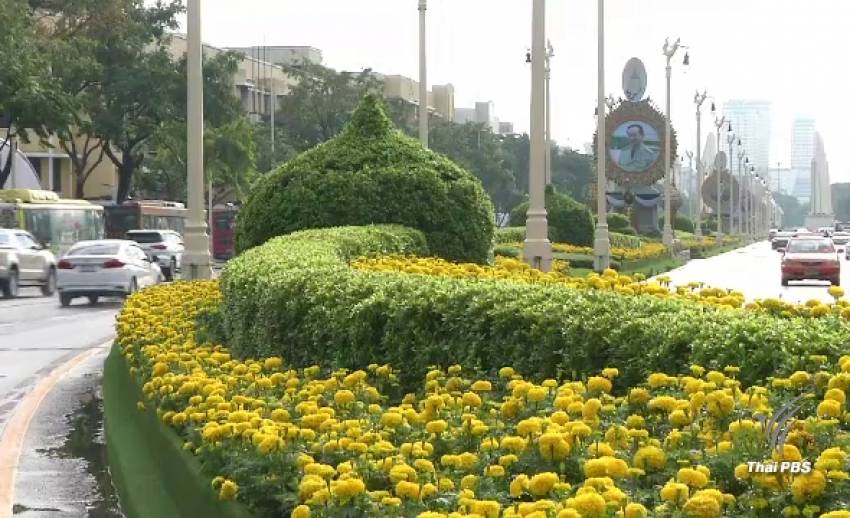 ดอกไม้นานาพันธุ์กว่า 50,000 ต้น บานสะพรั่งตลอดถนนราชดำเนิน 