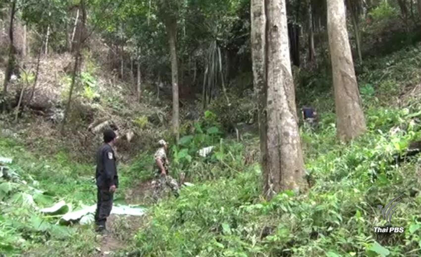 พบนายทุน ปักหมุด-ตีแนวเขตป่าอ่าวนาง "เกาะพีพี" 23 ไร่