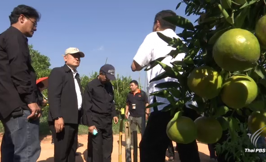 ส.ป.ก.สะดุดจัดสรรที่ดินสวนส้ม-เกษตรกร 93 รายอ้างสิทธ์ทำกินก่อนประกาศยึดคืน 