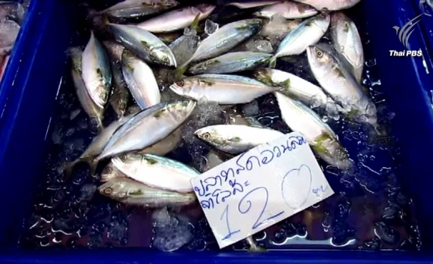 อาหารทะเลปรับราคาขึ้น หลังปิดอ่าวไทย