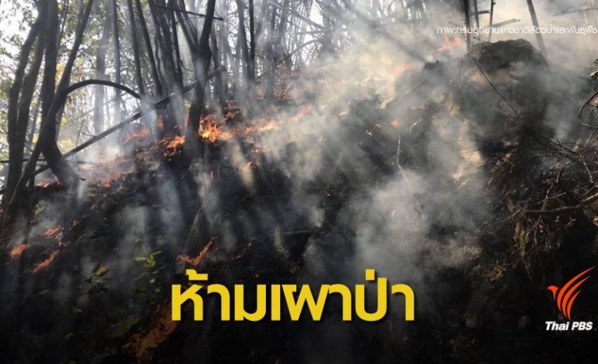 ฝุ่นพิษพุ่ง คพ.ประกาศ 9 จังหวัดเหนือ "งดเผา" พื้นที่การเกษตร