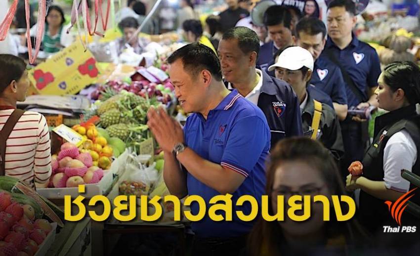 "ภูมิใจไทย" เล็งออกกฎหมายปกป้องชาวสวนยาง