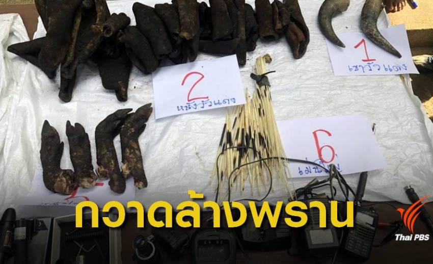 กวาดล้าง "พราน" แฝงอาศัยแพ แอบล่าสัตว์ในเขื่อนศรีนครินทร์