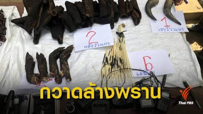 กวาดล้าง "พราน" แฝงอาศัยแพ แอบล่าสัตว์ในเขื่อนศรีนครินทร์