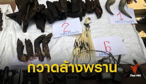 กวาดล้าง "พราน" แฝงอาศัยแพ แอบล่าสัตว์ในเขื่อนศรีนครินทร์