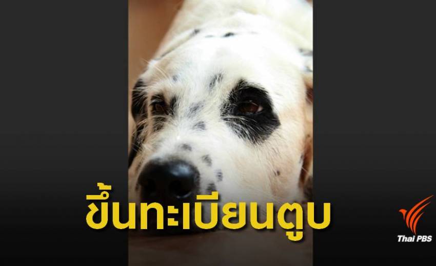 ขึ้นทะเบียน "หมา-แมว" จ่ายตัวละ 450 บาทฝ่าฝืนปรับ 2.5 หมื่นบาท