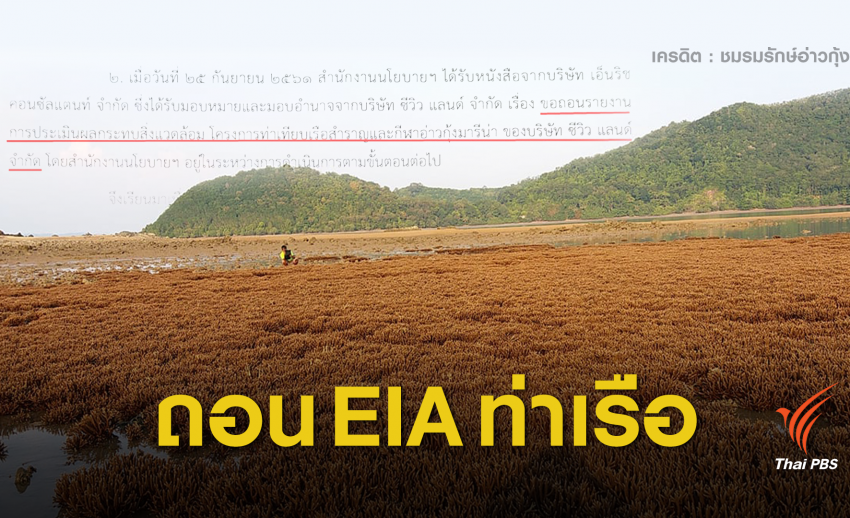ถอน "อีไอเอ" ท่าเรือยอร์ชอ่าวกุ้ง กระทบทุ่งปะการัง 62 ไร่