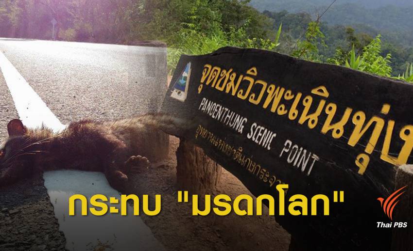 5 พ.ย.นี้เคลื่อนทัพค้านถนนพะเนินทุ่ง ห่วงกระทบ "มรดกโลก"