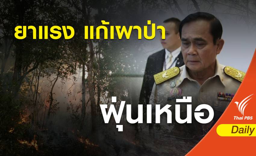 ฝุ่นPM2.5 "ประยุทธ์" สั่งใช้กฎหมายจับมือเผาป่าวอด 1.2 แสนไร่