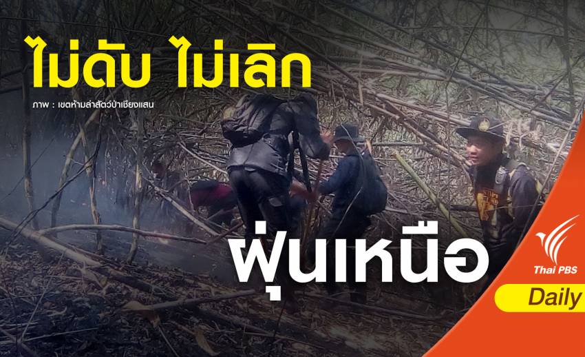 "8 ชีวิต สู้ไฟป่า 5 พันไร่" เจ้าหน้าที่เขตห้ามล่าสัตว์ป่าเชียงแสน