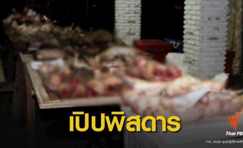 ตะลึง ! ซากสัตว์ป่าถูกชำแหละคาเขียง กลางตลาดดัง จ.เพชรบูรณ์