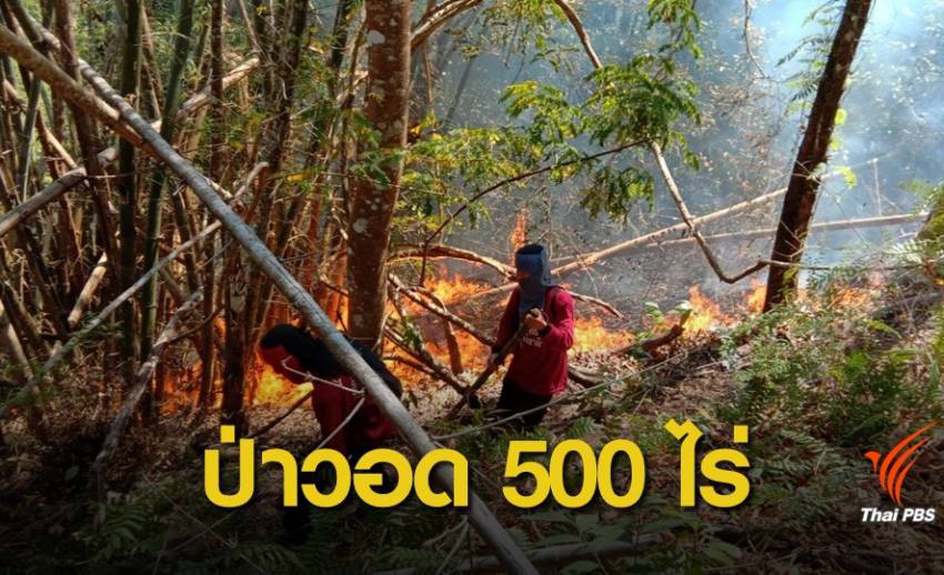 ฝุ่นPM2.5: วันเดียว "เผาป่าวอด" 500 ไร่ ต้นตอฝุ่นพิษเหนือพุ่ง