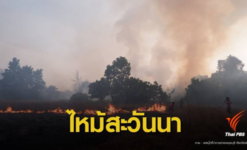  "ทุ่งหญ้าสะวันนา"อันซีนไทยแลนด์ ไฟไหม้เสียหาย 1,000 ไร่