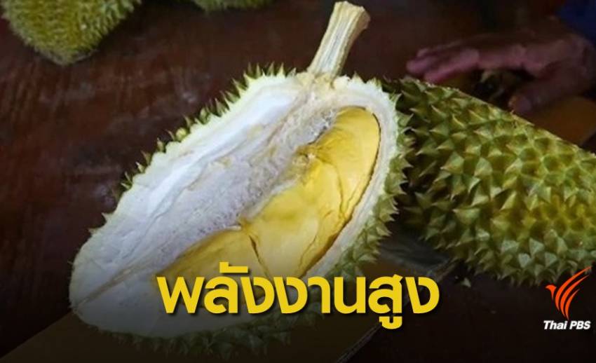 กรมอนามัย ชี้กินทุเรียน 4-6 เม็ด พลังงานสูงเทียบเท่ากินข้าวมันไก่ 2 จาน