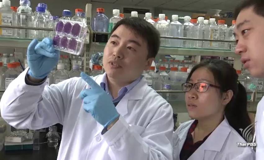 นักวิจัยจีนพบเชื้อ “ไวรัสซิกา” เสี่ยงทำชายเป็นหมัน