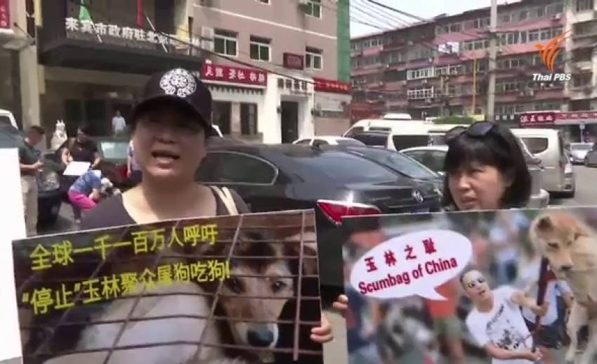 นักสิทธิสัตว์ชุมนุมคัดค้าน "เทศกาลกินเนื้อสุนัข" ในจีน 
