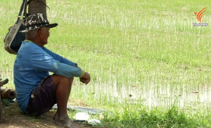 กรมชลฯ เผยน้ำในเขื่อนเหลือใช้แค่ 70 วัน ย้ำไม่มีแผนส่งน้ำทำนาปี