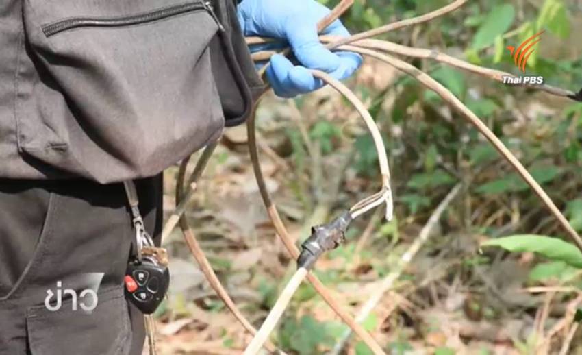 ตร.ระบุ ถูกไฟฟ้าช็อต-หัวใจหยุดเต้นเฉียบพลัน สาเหตุช้างป่า 2 ตัว ตายในสวนยาง จ.จันทบุรี