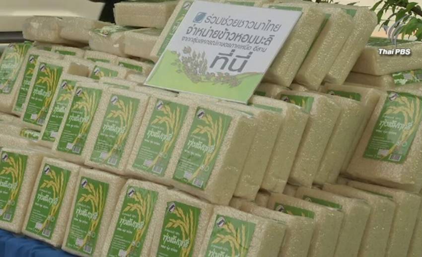 นักวิชาการแนะรัฐแก้ราคาข้าวตกต่ำระยะยาว จัดโซนนิ่ง-กำหนดปริมาณผลิต-พัฒนาคุณภาพข้าว