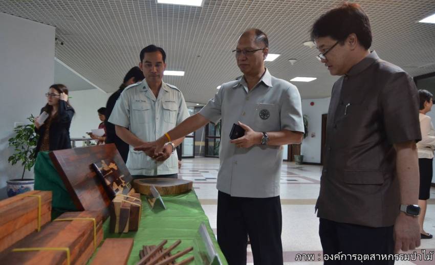โฆษก ทส.ระบุ ใช้เทคนิค “ฟิงเกอร์ จอยท์” อัดประสานขึ้นรูปไม้พะยูงของกลางขนาดเล็กที่เสื่อมสภาพ