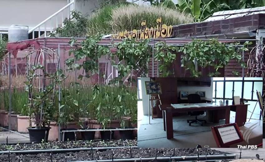 รู้จักทุกมุมของ “กษัตริย์นักพัฒนาการเกษตร” ที่พิพิธภัณฑ์เกษตรเฉลิมพระเกียรติฯ