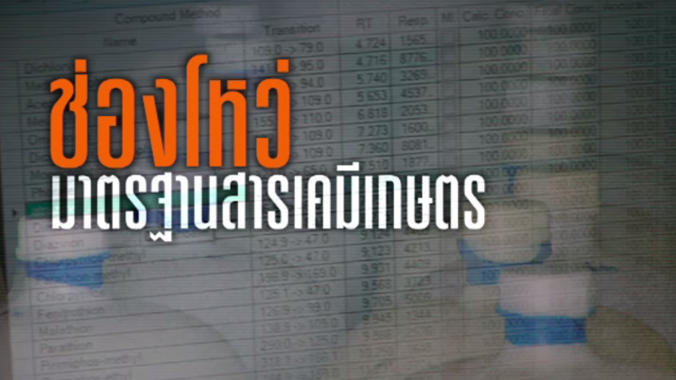พลิกปมข่าว : ช่องโหว่มาตรฐานสารเคมีเกษตร