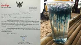 สั่งห้ามลงเล่นน้ำ 3 หาด ในภูเก็ต หลังพบ "แมงกะพรุนไฟหมวกโปรตุเกส" พิษร้ายแรงถึงขั้นตาย