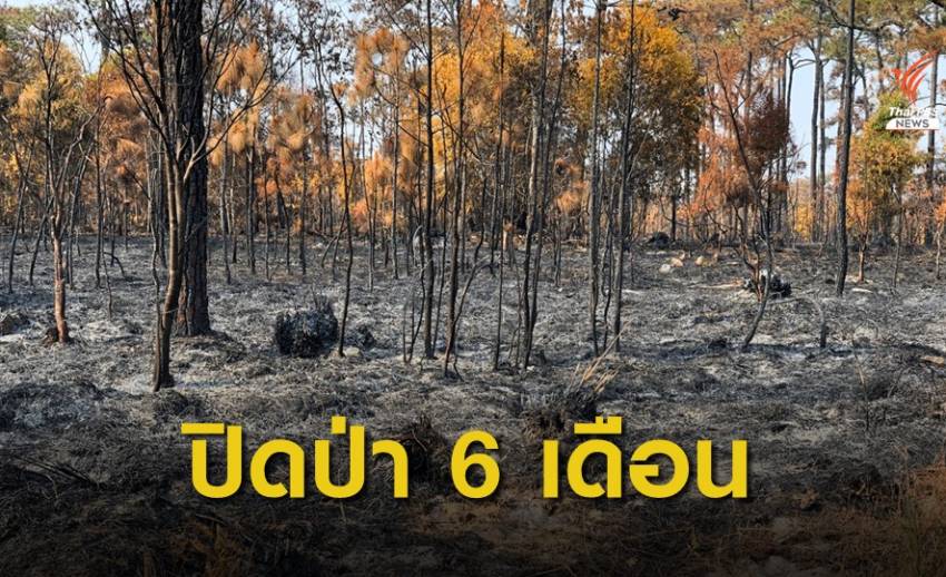 ปิดภูกระดึง 6 เดือน ฟื้นป่าไฟไหม้