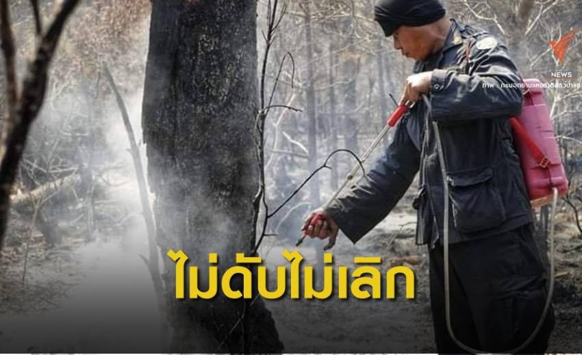 สู้ไฟป่าไม่ถอย! ชื่นชมชุดดับไฟ "ภูกระดึง-นครนายก" ลามหลายจุด