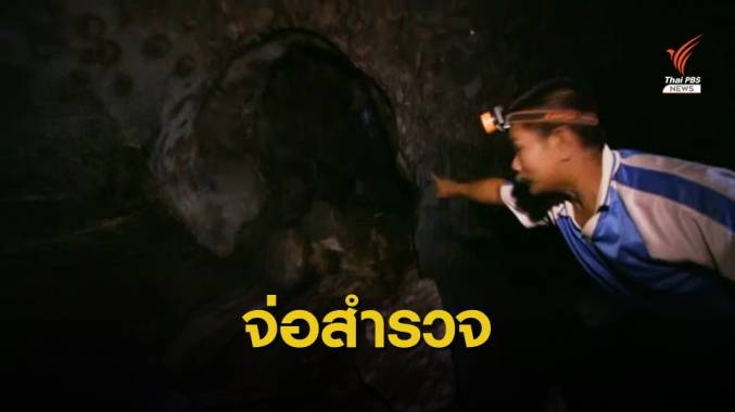 นักวิจัยชี้ยังไม่พบ "ไวรัสโคโรนาสายพันธุ์ใหม่" ในค้างคาวไทย