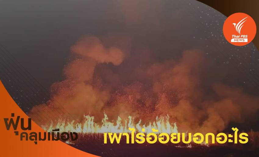"เผาไร่อ้อย" ประเทศไทย บอกอะไรได้บ้าง?  