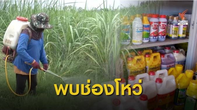 พบช่องโหว่มาตรการจำกัดการใช้ เกษตรกรนครสวรรค์ยังไม่ขึ้นทะเบียน