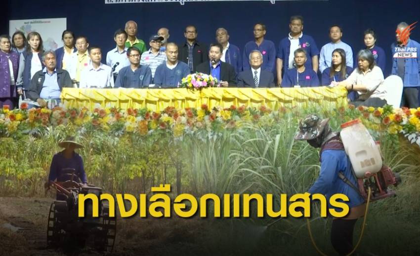 กลุ่มหนุนแบนสารพิษ เปิดเวทีเสนอทางเลือกทดแทน 3 สาร