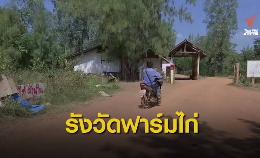 ส.ป.ก.-กรมป่าไม้ ลุยตรวจที่ดินฟาร์มไก่ "ปารีณา" วันนี้