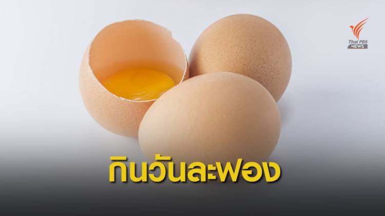 สธ.ชวนเด็กวัยเรียน "กินไข่วันละฟอง" กระตุ้นประสาทและสมอง