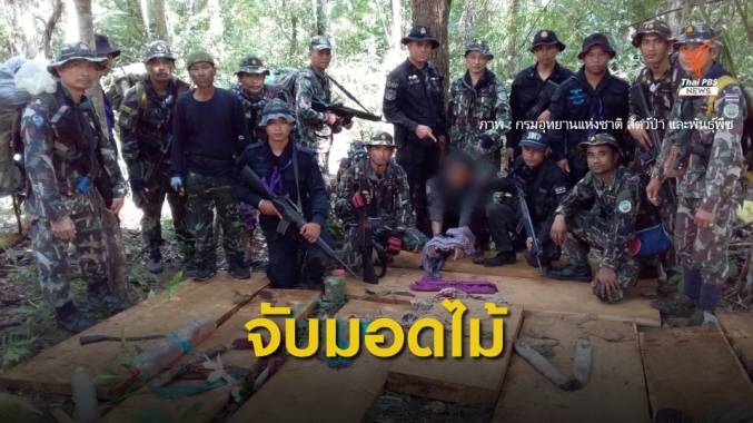 จับมอดไม้ข้ามชาติ ชายแดนไทยกัมพูชา ยึดไม้ประดู่ 21 ท่อน