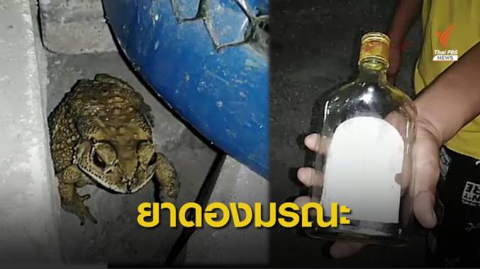 ตาย 2 สังเวย "พิษคางคก" ตร.จ่อออกหมายจับเจ้าของสูตรยาดอง