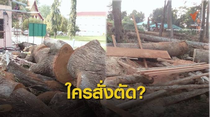 ร่อนหนังสือด่วน! พศ.ระงับวัดตัดไม้ตาม ม.7 ปมถูกตัดขาย