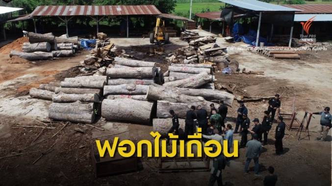 ปลดล็อก ม.7 พ่นพิษ "ทสจ."เอี่ยวแก๊งตัดยางนาสวมส่งขายจีน