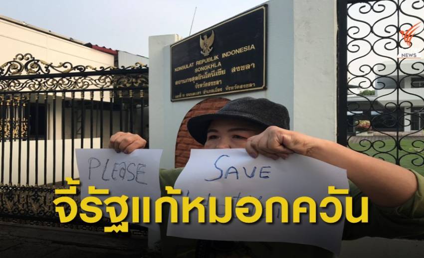 จี้รัฐบาลไทยกดดันรัฐบาลอินโดนีเซียแก้ปัญหาไฟไหม้ป่า