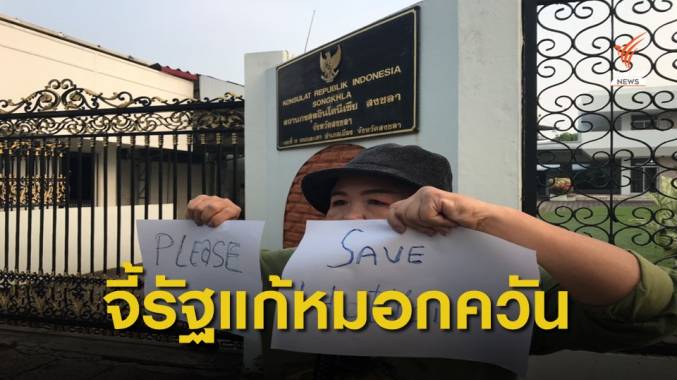 จี้รัฐบาลไทยกดดันรัฐบาลอินโดนีเซียแก้ปัญหาไฟไหม้ป่า